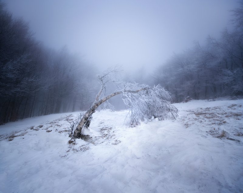 Fallen фото превью