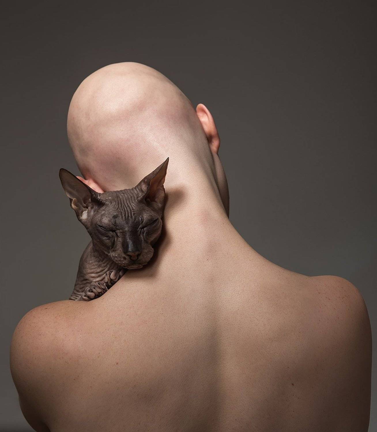 девушка, сфинкс, кошка, концепт, без волос, лысый, мода, модель, Дарья Комарова