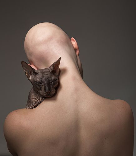 Девочка сфинкс