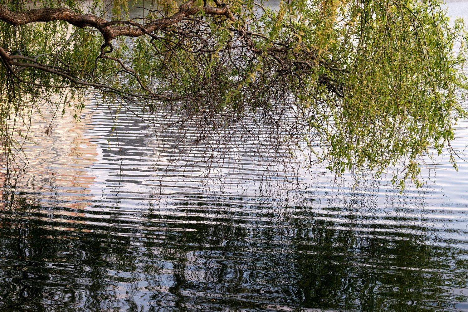 , Алексей Рыльский