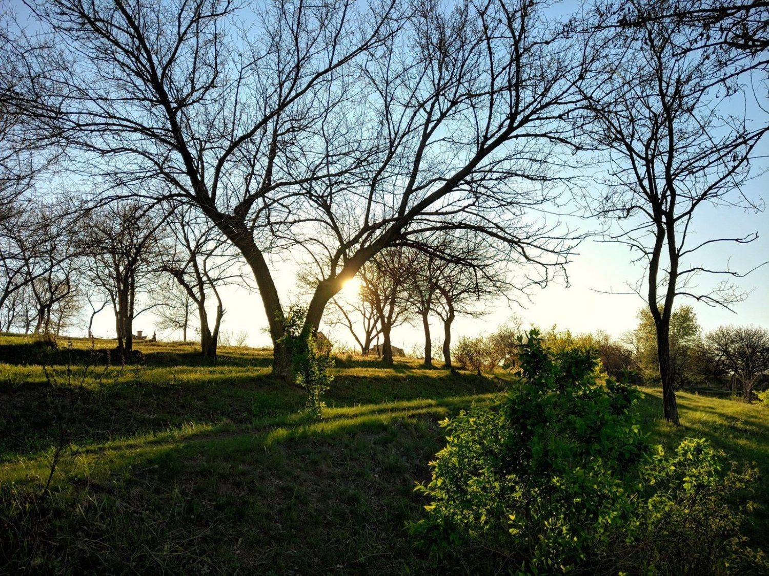 апрель,вечер,пейзаж,весна,закат,цвет,зелень,landscape,вид,солнце,небо,дерево,, Сергей Богачёв