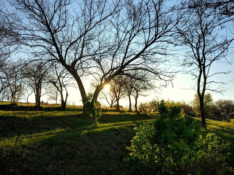 апрель,вечер,пейзаж,весна,закат,цвет,зелень,landscape,вид,солнце,небо,дерево, Апрель.Вечереет... фото превью