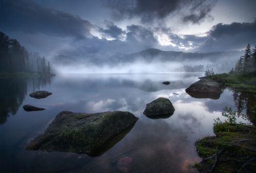 Туман на Светлом