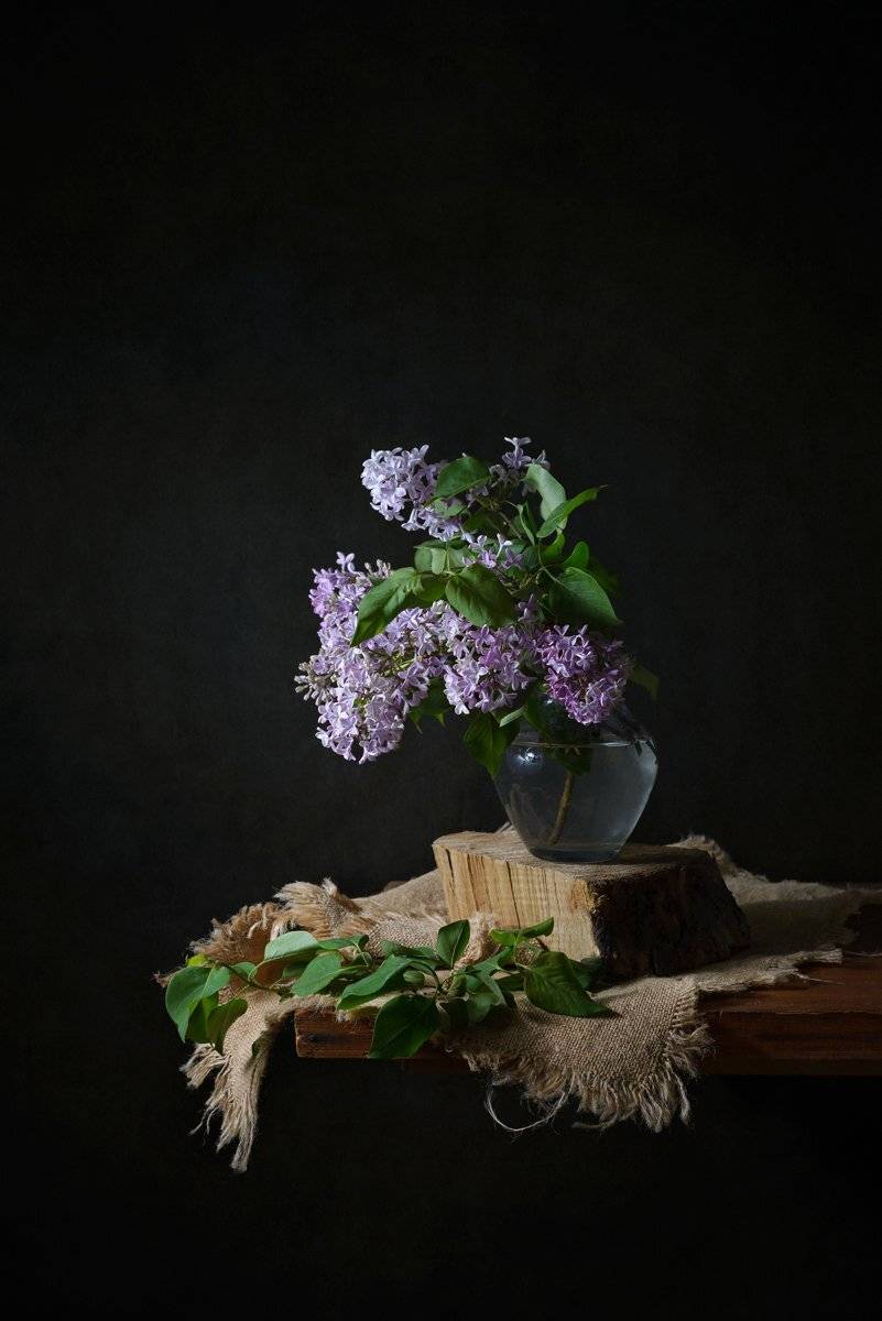 , Анжелика Королева