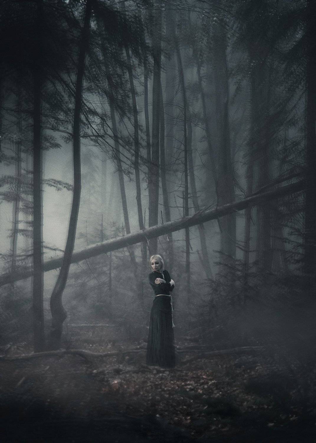 , Алексей Сергованцев