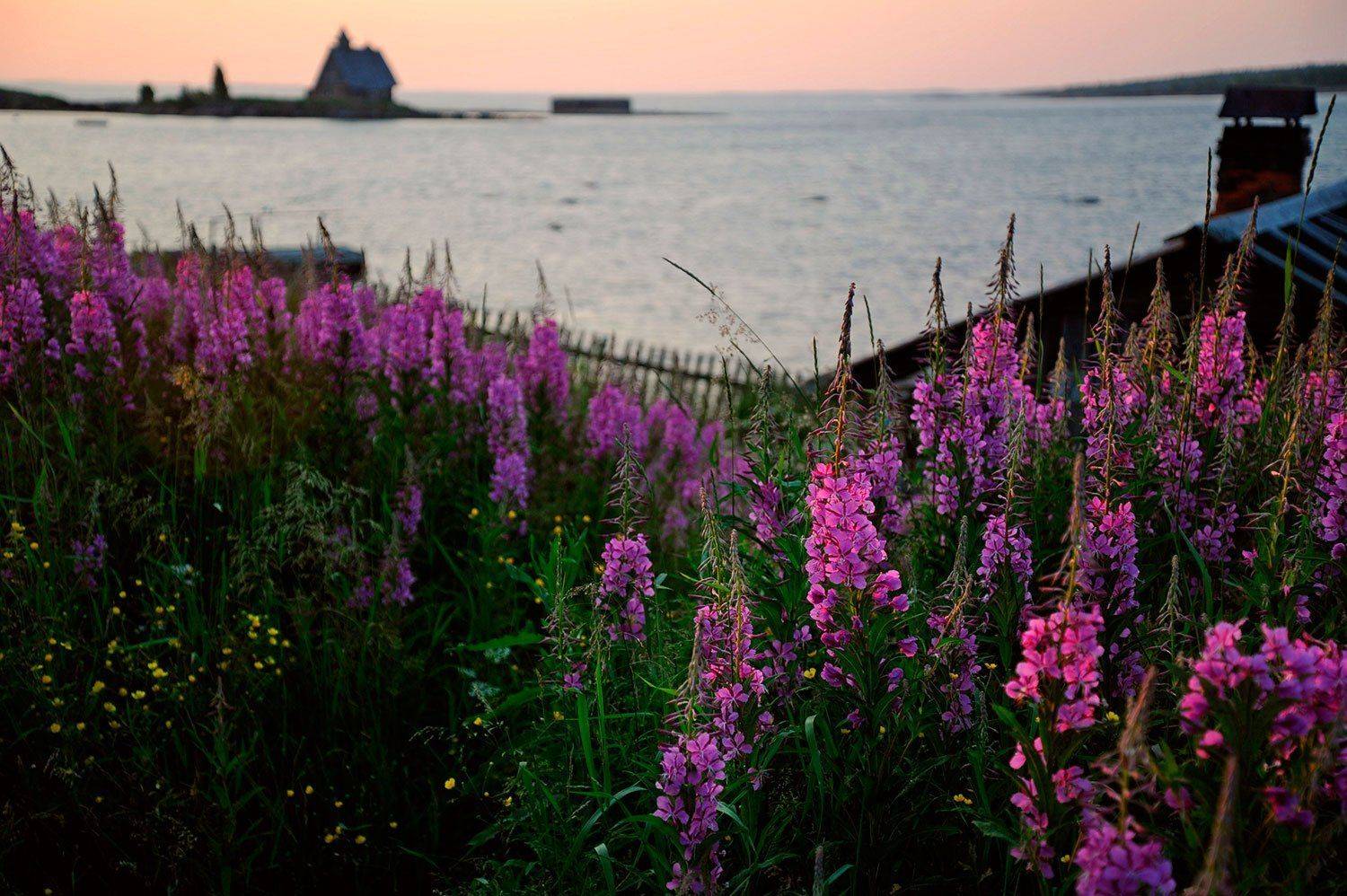 , Дарья Васильева