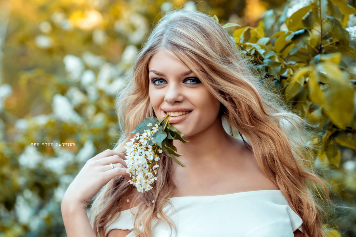 , Михаил Бове