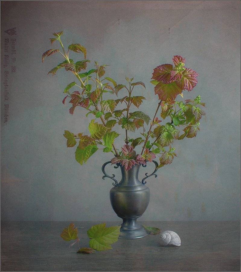 , Stein Georg