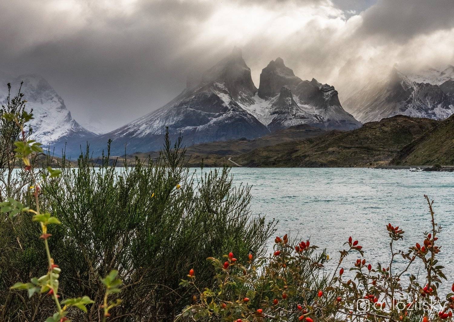 , Александр Лозицкий