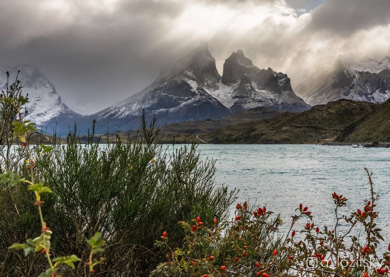 Patagonia фото превью
