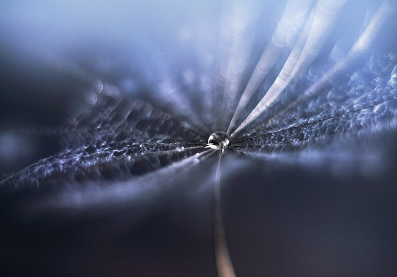 параллельные миры фото превью