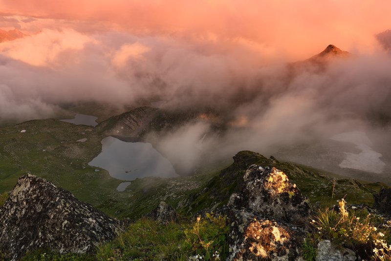 Розовые мечты... фото превью