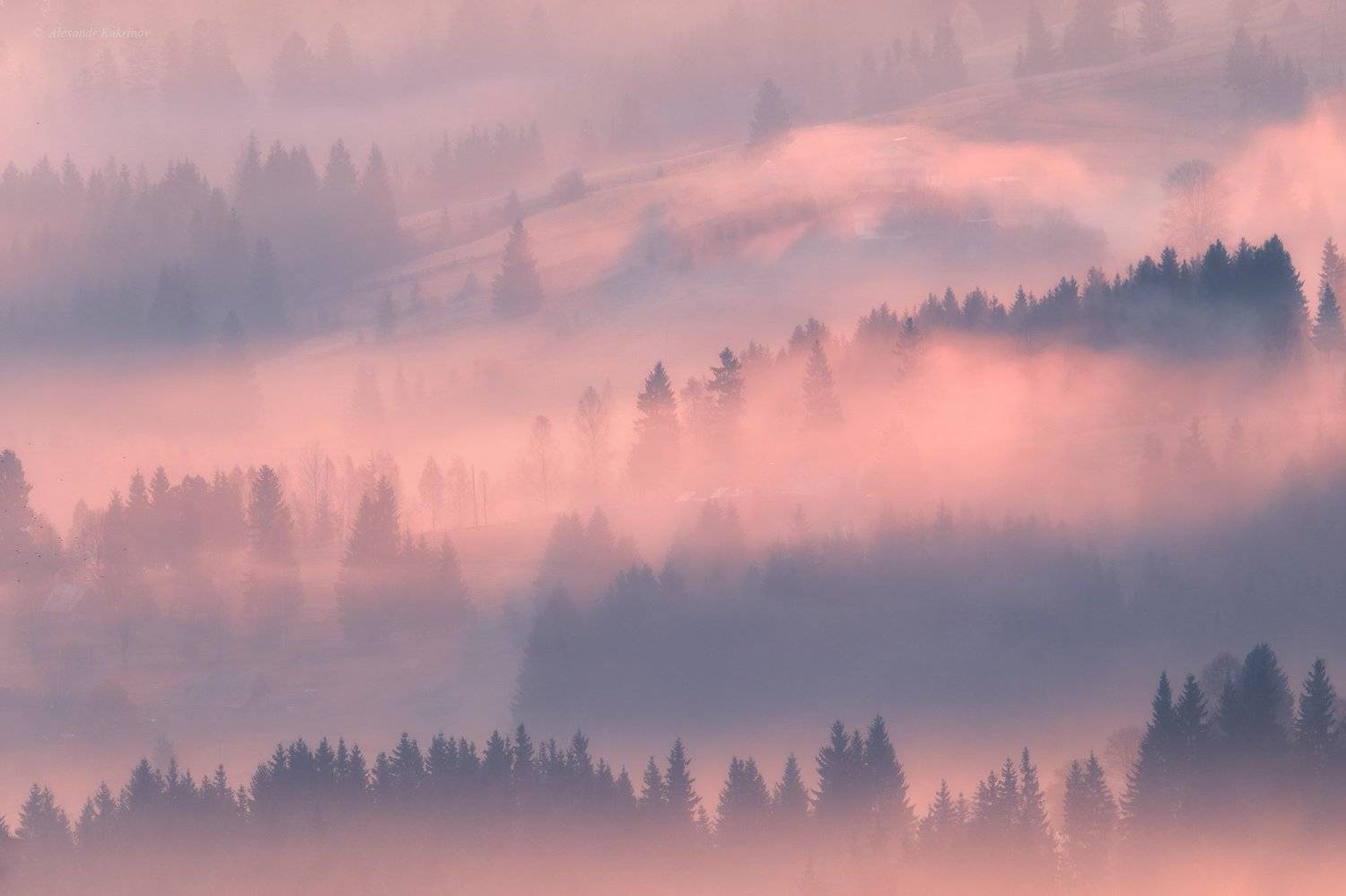 карпаты,осень,пейзаж,туман,утро,рассвет, Александр Кукринов