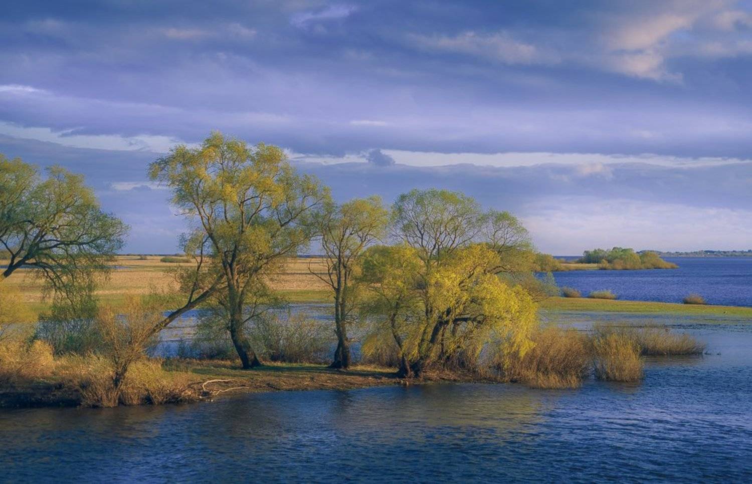 , Светлана Морозова