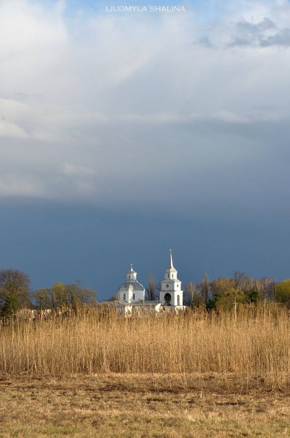 , Людмила Шалина