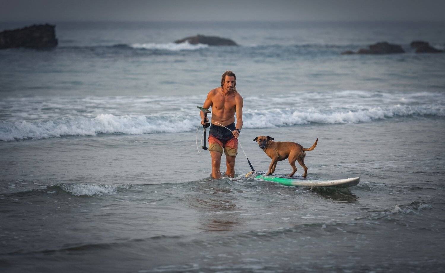 собака, серфер, океан, Александр Безмолитвенный