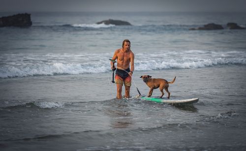 надо, Шарик, надо