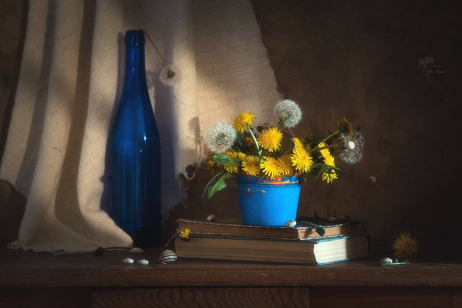 , Инна Сухова