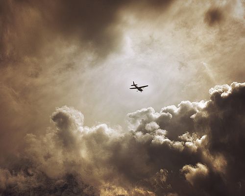 Fly away