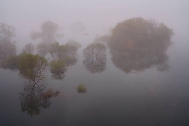 south korea, jeollabukdo, autumn, mroning, lake, fog, tree, fantastic, beautiful Fog covered lake фото превью