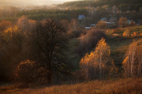Пока пора не отошла златая