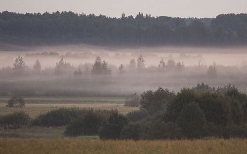 Туманный рассвет