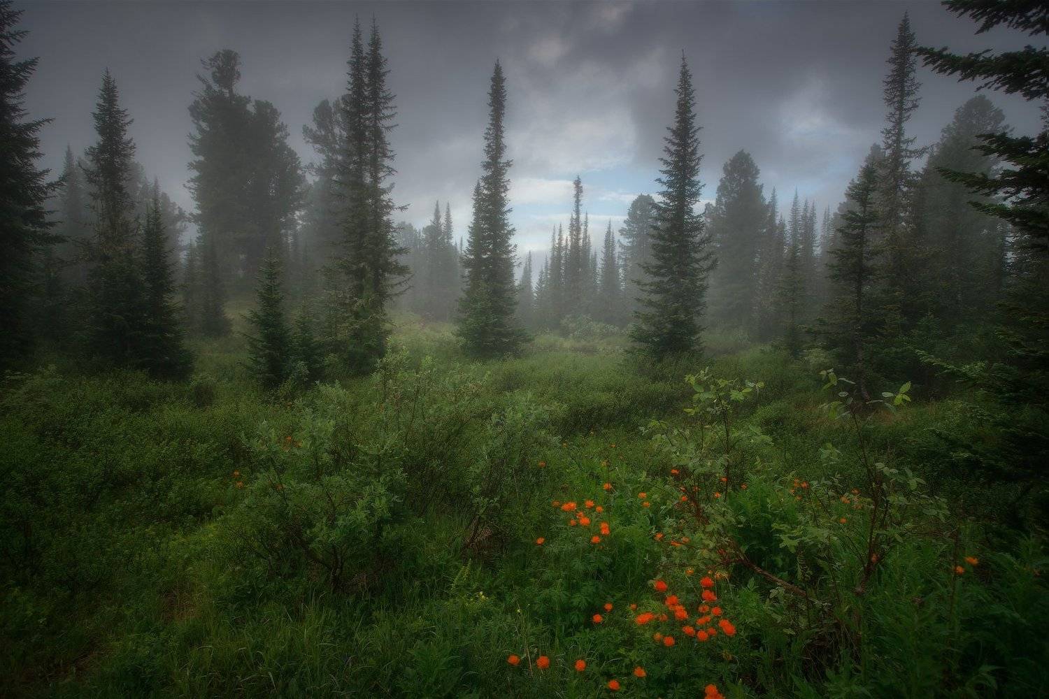 ергаки, горы, саяны, сибирь, Владимир Ляпин