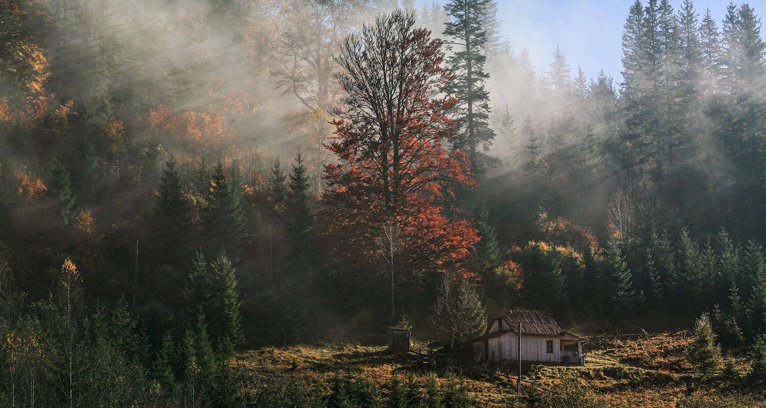 , Милокост Алексей