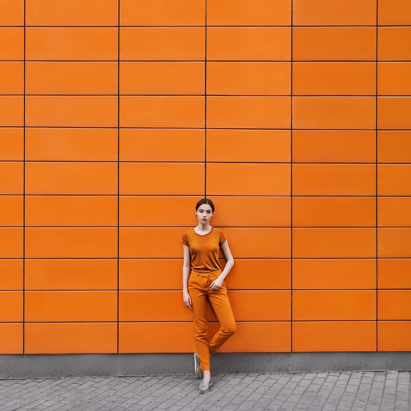 Хамелеон фото превью