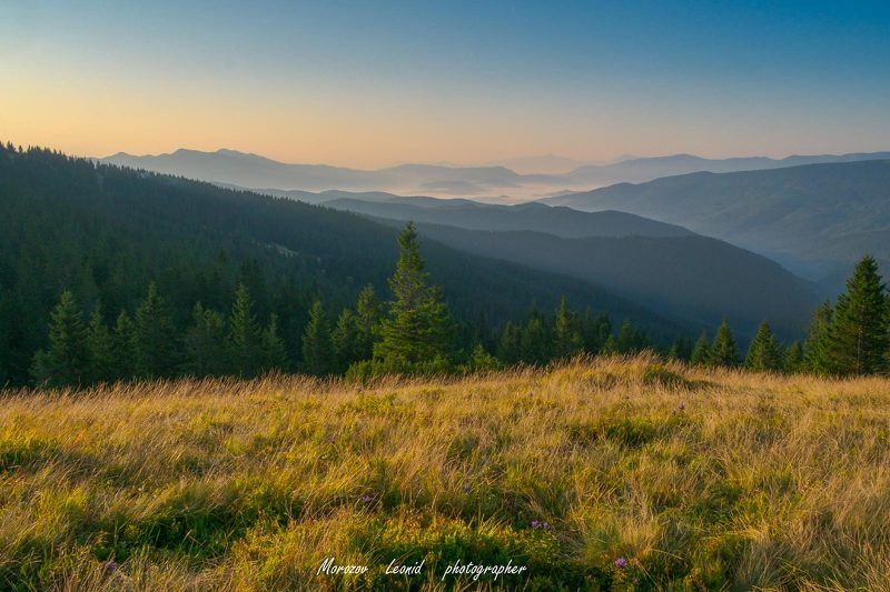 #nature, #туман, #лес, #oсень, #украина, #карпаты, #пейзаж, #закат, #туман, #солнце, #свет, #mountain range, #mountains, #туризм, #лес, #nature, #природа, ранок у Карпатах фото превью
