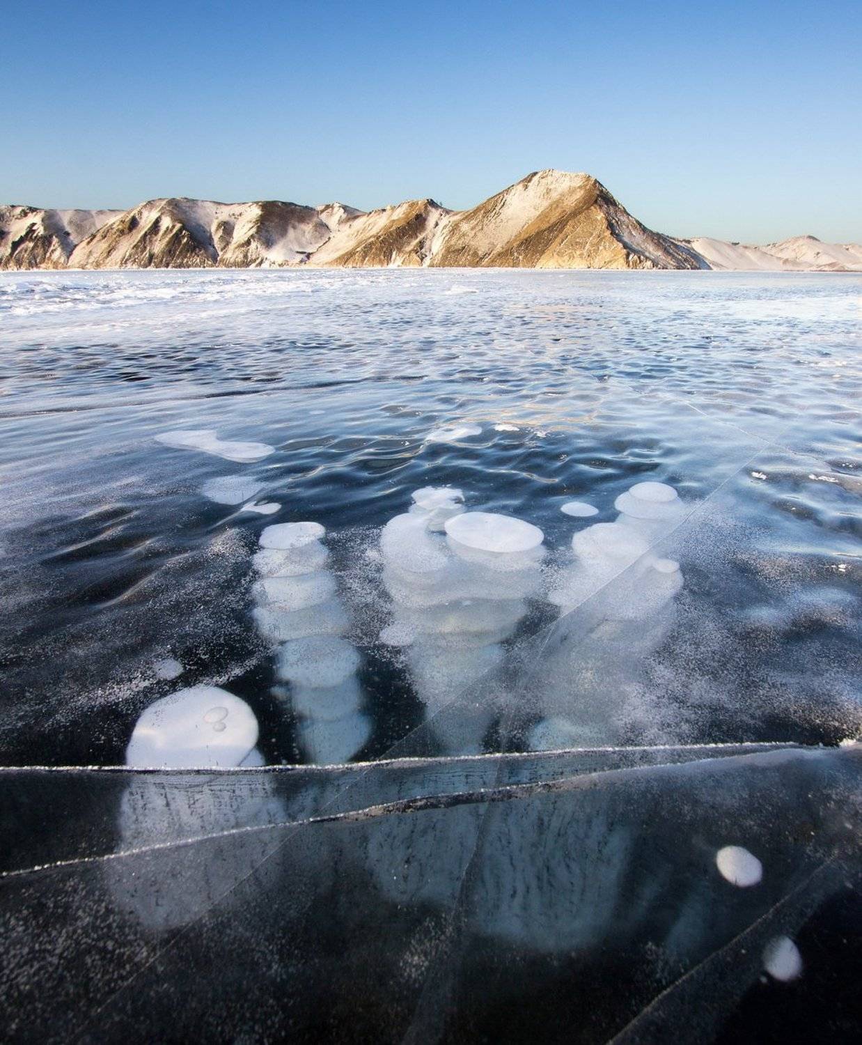 , Алексей Трофимов