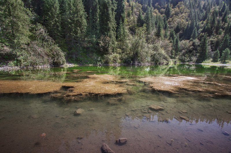 природа озеро лес казахстан Безымянное озеро фото превью