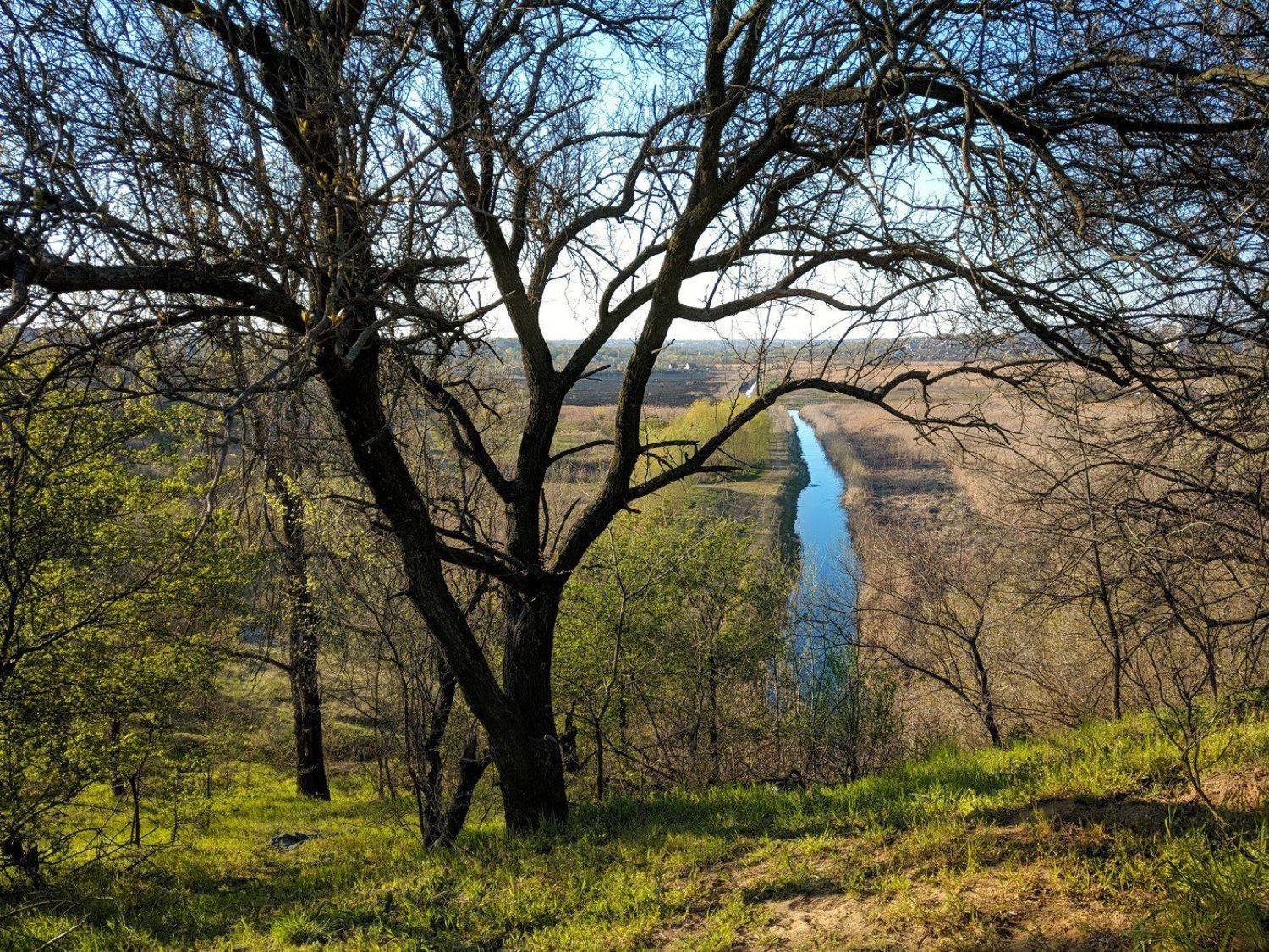 апрель,весна,пейзаж,краски,зелень,солнце,небо,река,landscape,сюжет,природа,nature,sky,свет, Сергей Богачёв