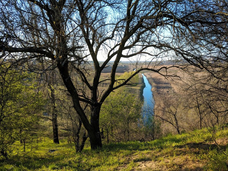 апрель,весна,пейзаж,краски,зелень,солнце,небо,река,landscape,сюжет,природа,nature,sky,свет *** фото превью