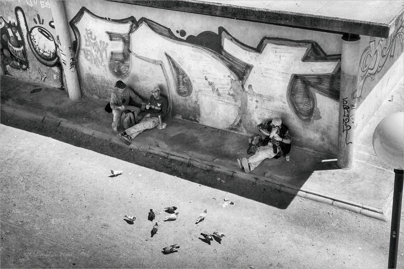 люди, голуби, улица, ч/б Голуби фото превью