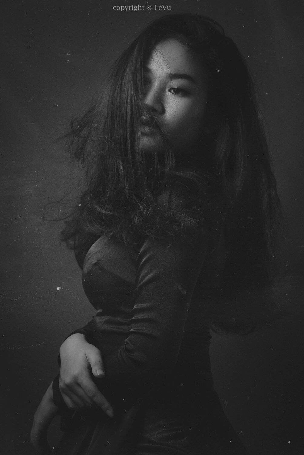 &aacute;o d&agrave;i, L&ecirc; Nguyễn Vũ