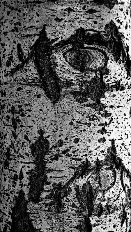 #смотри Глаз да глаз фото превью