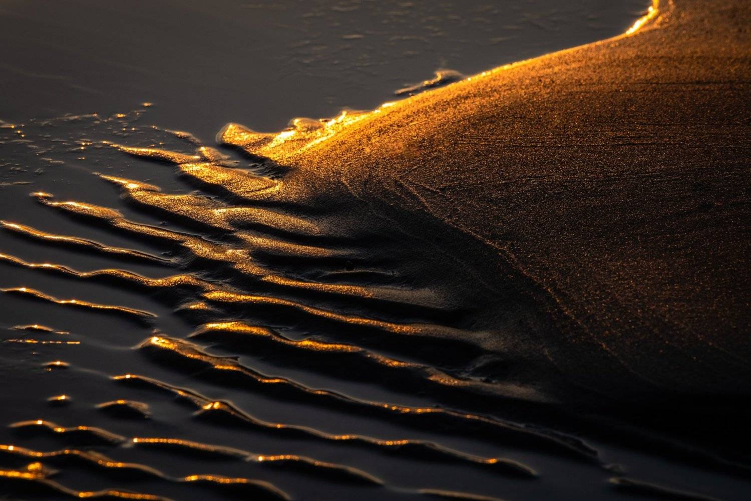 land,sand,sea,texture,ribbed,sea,sunny, Eriks Zilbalodis