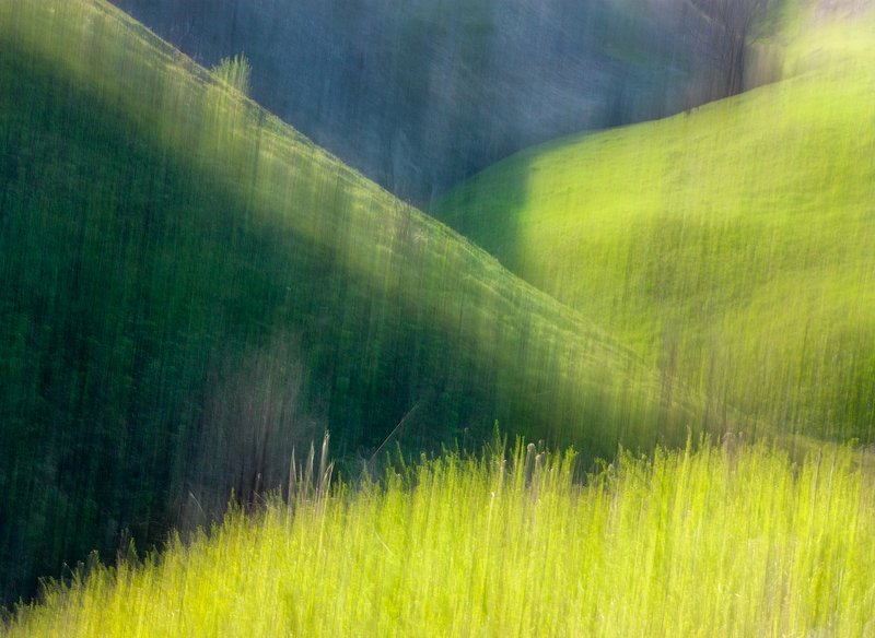 #ProSpring фото превью