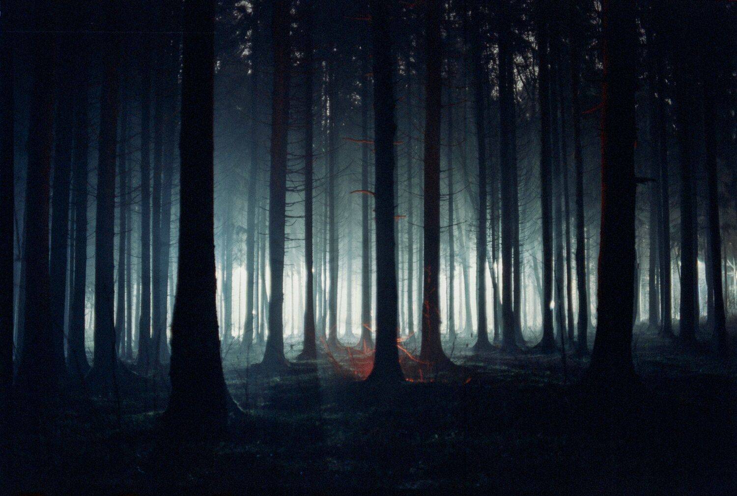 , Александр Фанковин