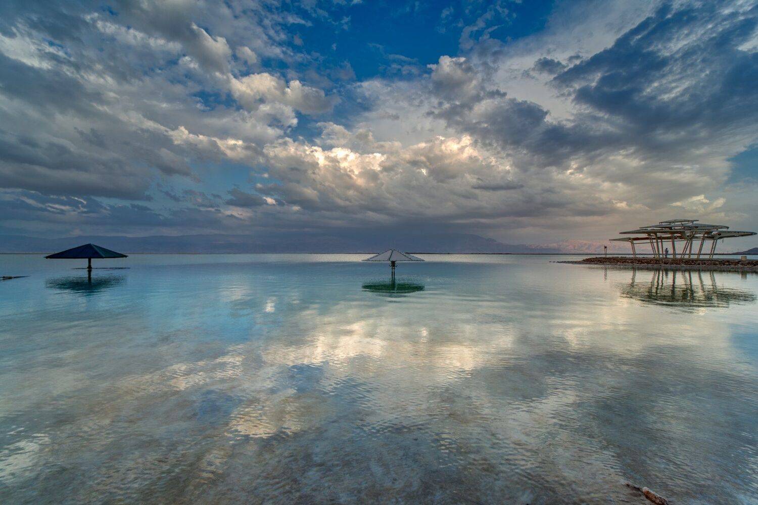 , David Solodar