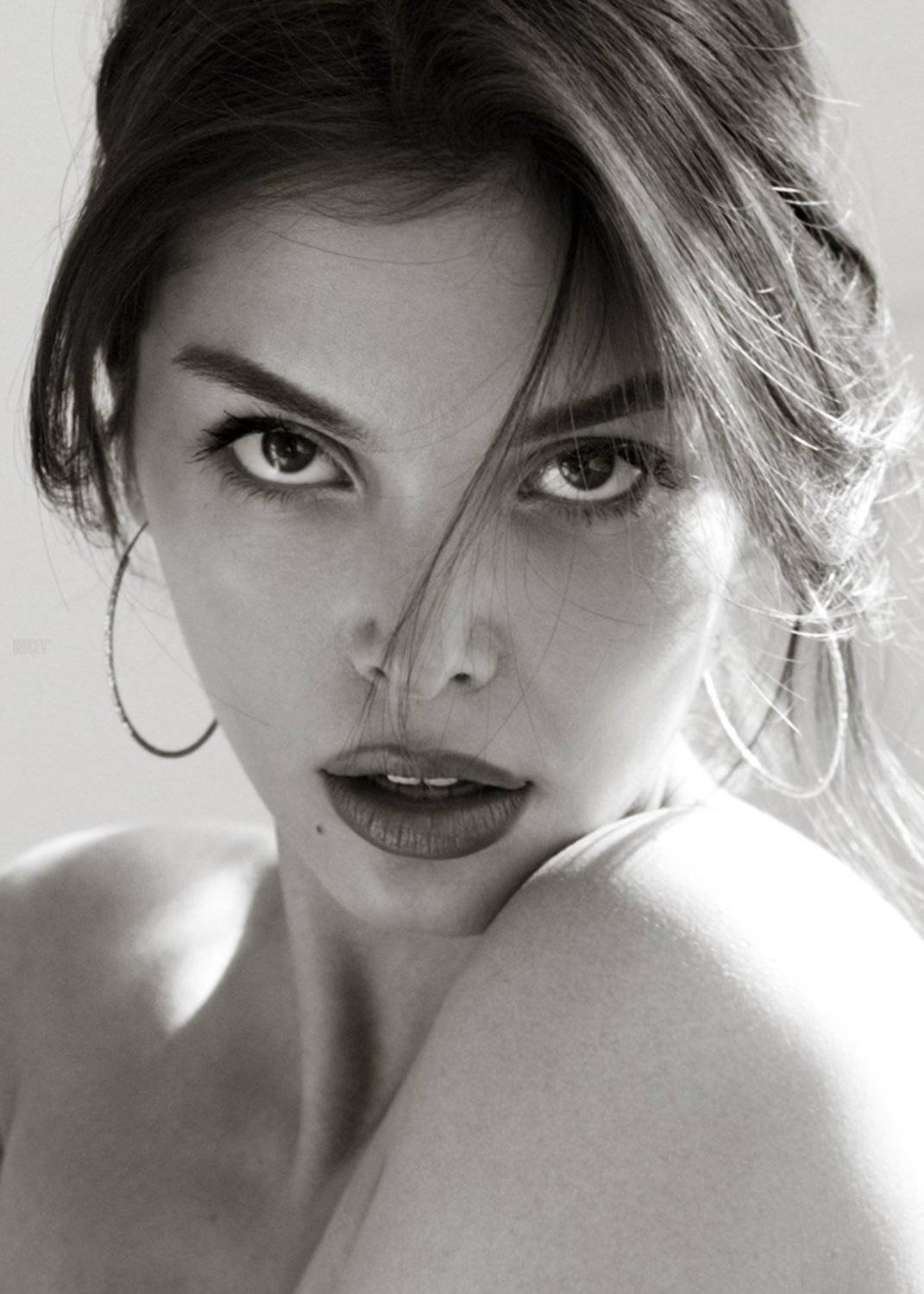 , Алексей Бурцев