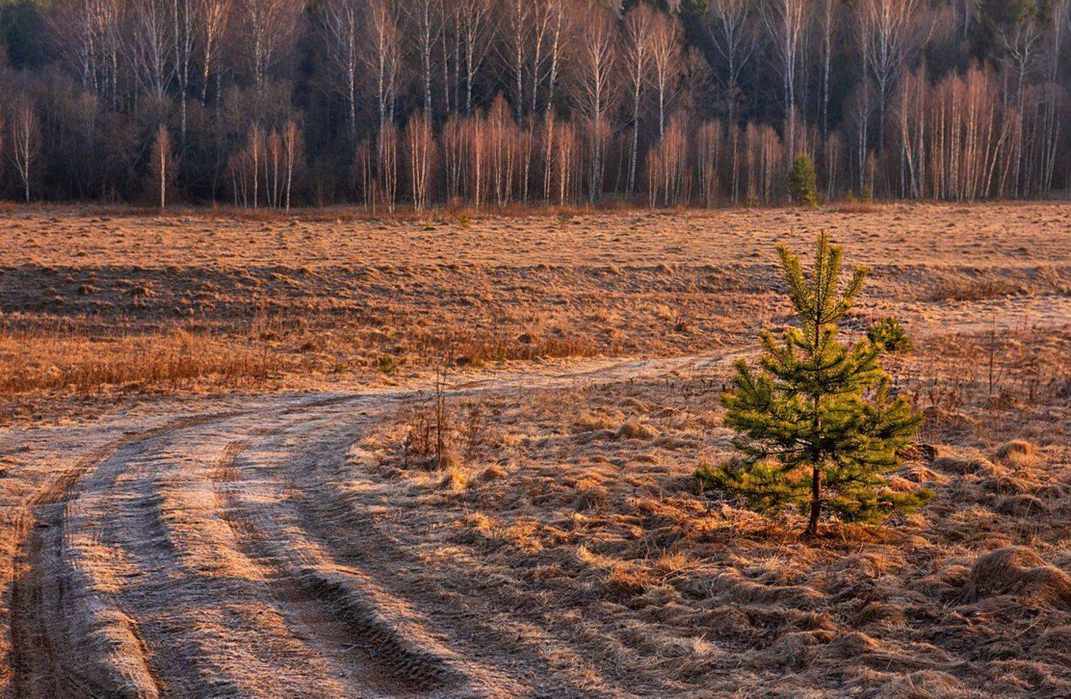 средняя, полоса, россии, рассвет, март, весна, Yakovlev Artur