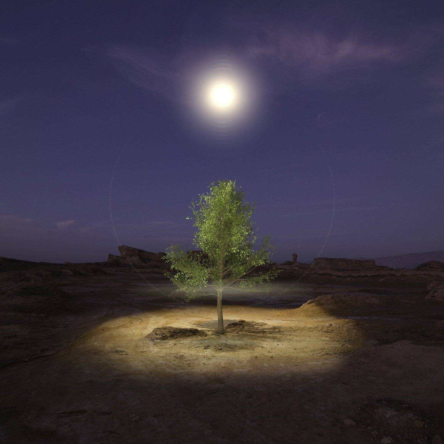 , Hossein Zare