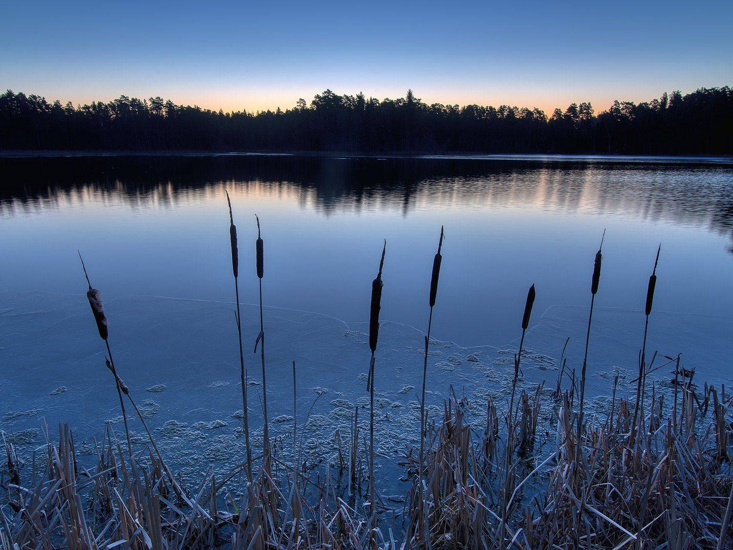 , Федотов Антон