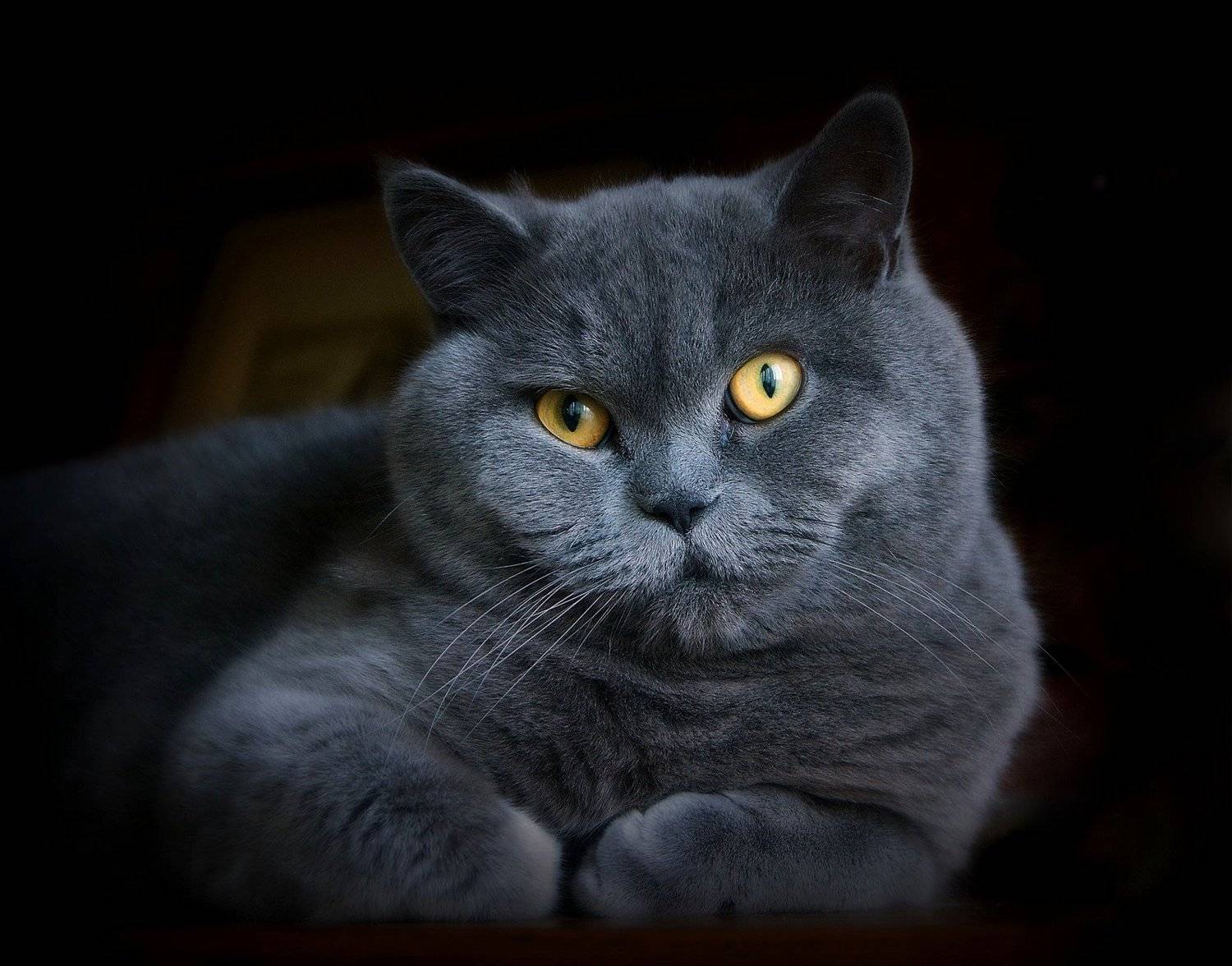 сергей алексеев, Сергей Алексеев