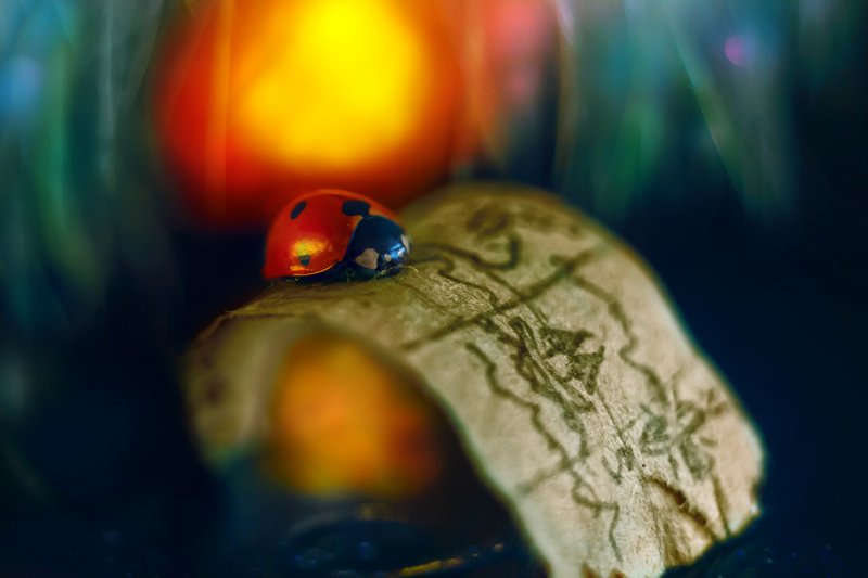 Дух странствий фото превью