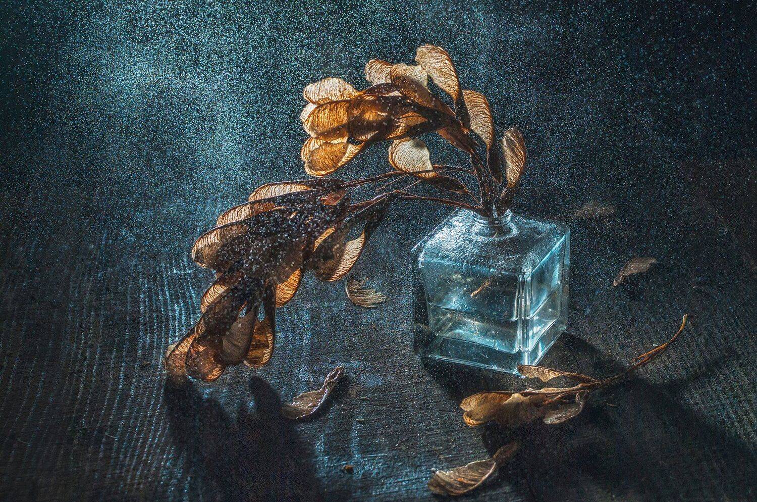 сухие листья, осень, свет, брызги, холодный, Владимир Володин