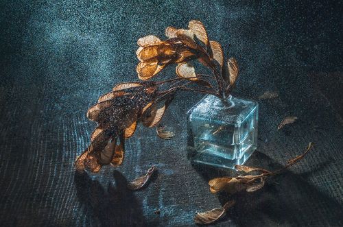 Лунный свет