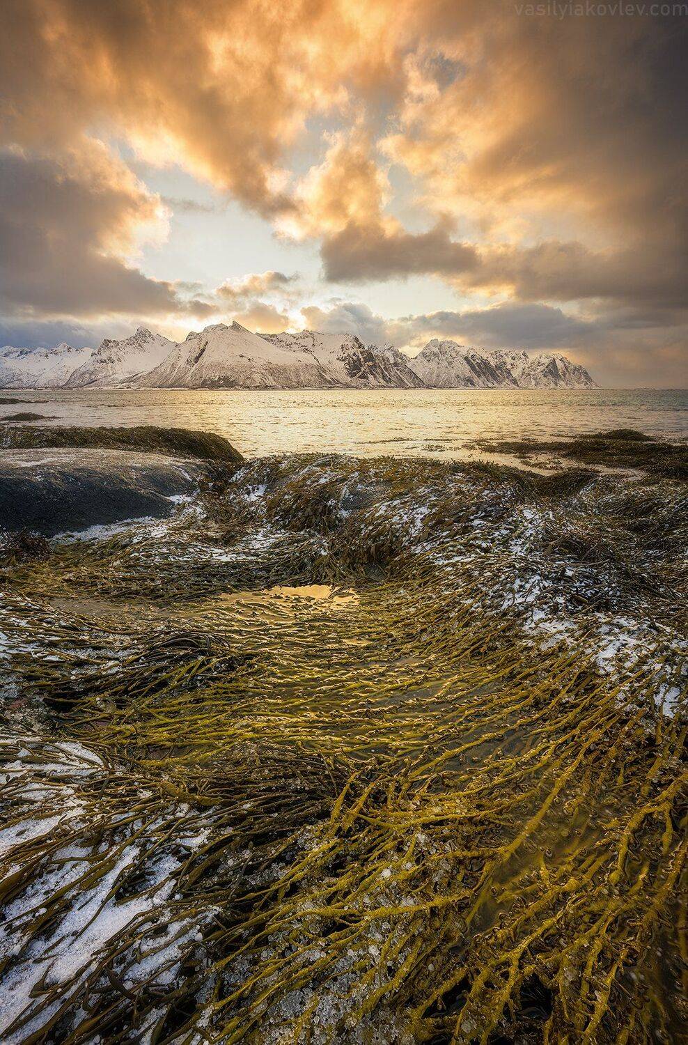 лофотены, фототур, норвегия, яковлевфототур, василийяковлев,, Василий Яковлев